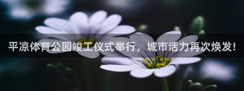 必一运动官网入口
