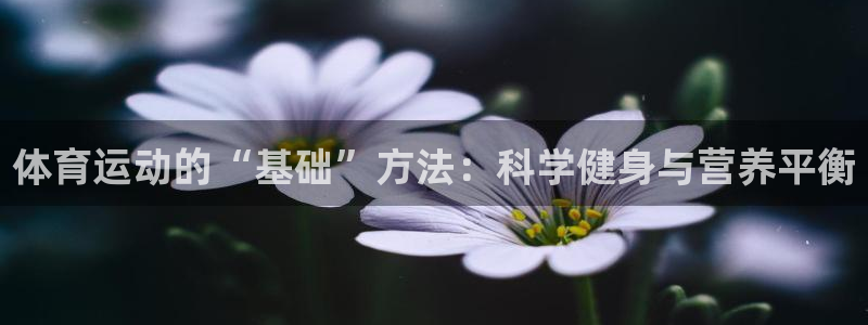 bsports官网 必一运动