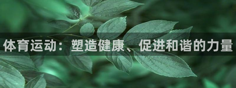 bsports必一运动