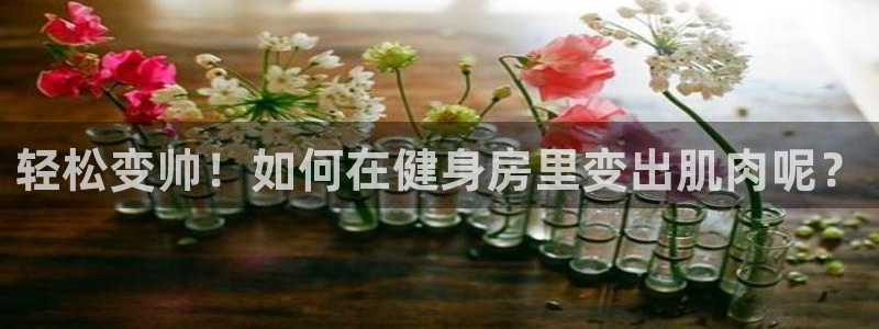 必一运动bsport体育