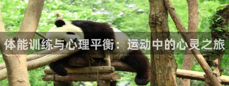 b体育必一运动官网