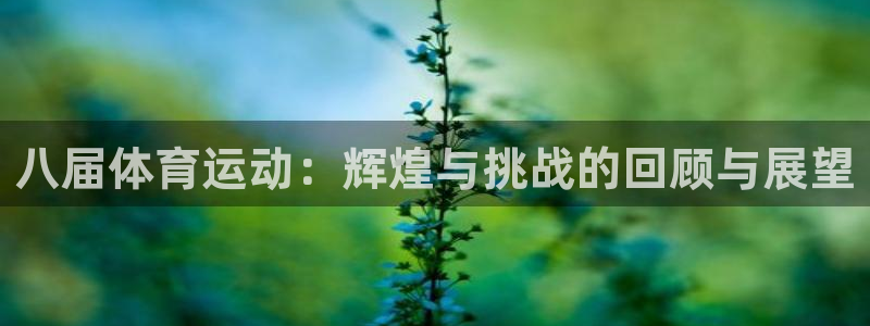 必一运动bsport体育
