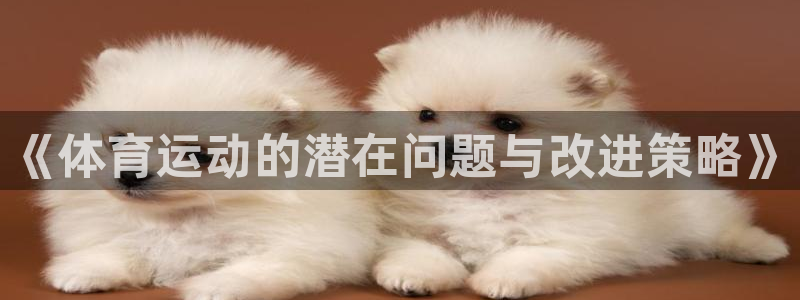 必一运动bsport体育