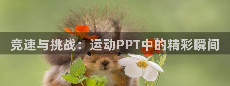 bsport必一运动
