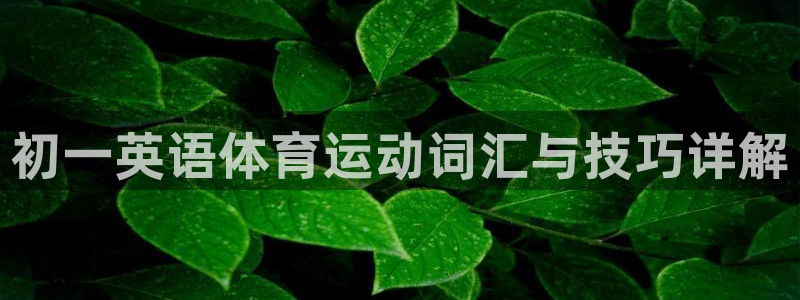必一运动app