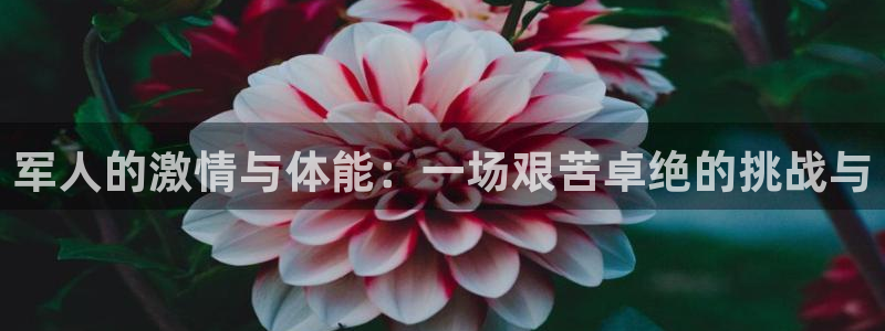 必一运动体育