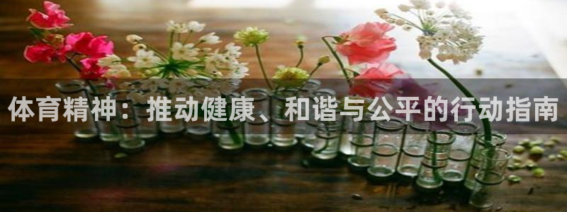 必一运动体育